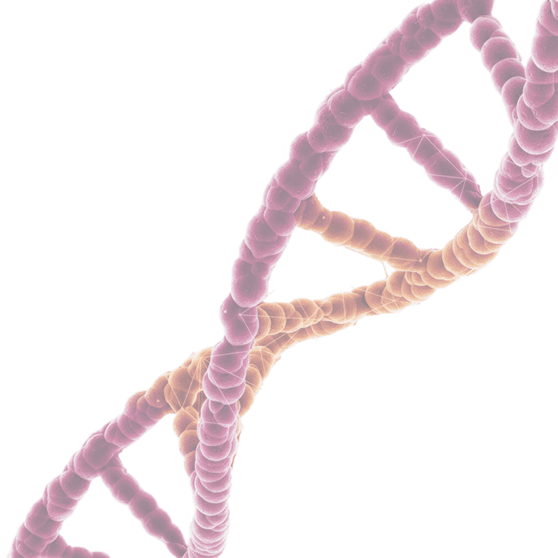DNA